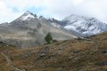 IMG_3516
