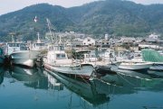 The harbour at Tomonoura