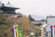 Daisho-in temple complex