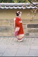 Geisha