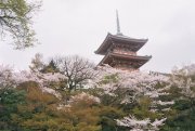 Pagoda of Kiyomoizu-dera