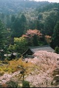 the view from the top of the main gate to Nanzen-ji