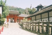 Lantern lined approach to Kasuga Taisha