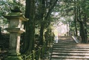 Through the woods to Kasuga Taisha