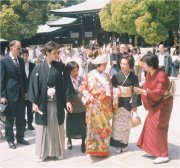 Wedding parties in the Meiji-jingu complex