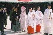 Wedding parties in the Meiji-jingu complex