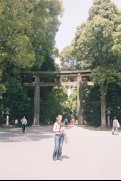 The O-torii gate, Meiji-jingu