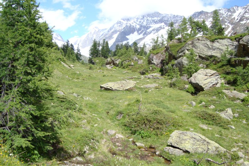 DSC00319